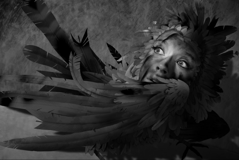 ua_the_shop_of_song_birds_main Крамниця співочих пташок