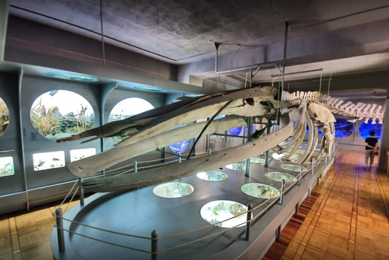 Музей природи